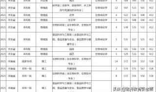 福建高考441分能上什么大学